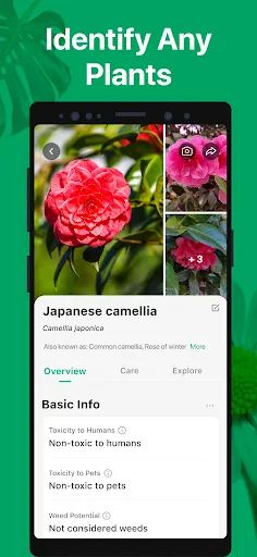 PictureThis - Plant Identifier screenshot