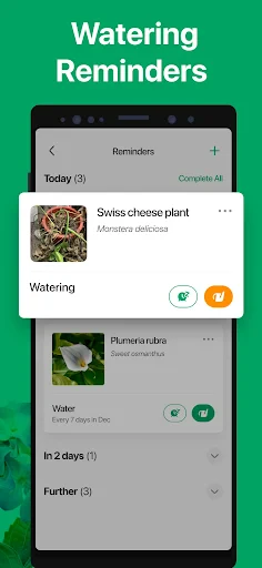 PictureThis - Plant Identifier screenshot