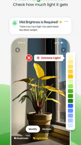 Plant App - Plant Identifier screenshot