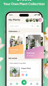Plant Identifier: LeafSnap screenshot
