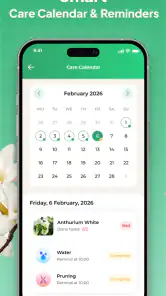 Plant Identifier: LeafSnap screenshot