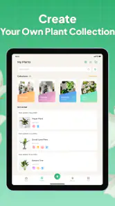 Plant Identifier: LeafSnap screenshot