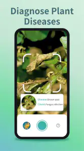 Plant Identifier & Plant Care screenshot