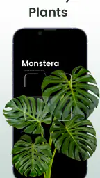 Plant Identifier: Plantiary screenshot