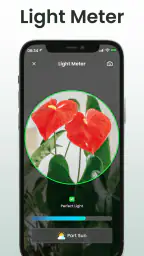 Plant Identifier: Plantiary screenshot