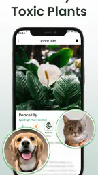 Plant Identifier: Plantiary screenshot