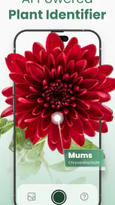 Plantify: AI Plant Identifier screenshot