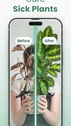 Plantify: AI Plant Identifier screenshot