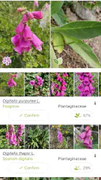 PlantNet Plant Identification screenshot