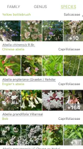 PlantNet Plant Identification screenshot