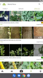 PlantNet Plant Identification screenshot
