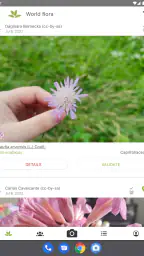 PlantNet Plant Identification screenshot