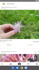 PlantNet Plant Identification screenshot