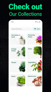 Plantum - Plant Identifier screenshot