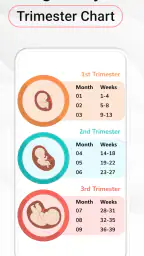 Pregnancy Calculator: Due Date screenshot