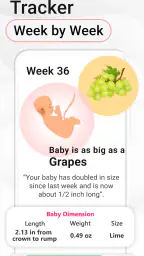Pregnancy Calculator: Due Date screenshot