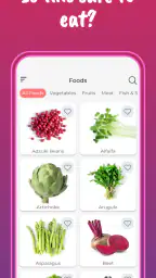 Pregnancy Diet: Recipes, Foods screenshot