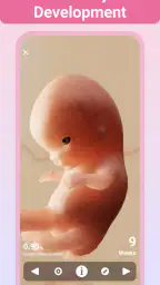 Pregnancy + | Tracker App screenshot