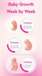 Pregnancy Tracker & Calculator screenshot