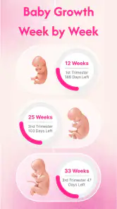 Pregnancy Tracker & Calculator screenshot
