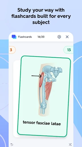 Quizlet: More than Flashcards screenshot
