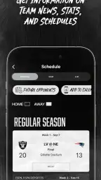 Raiders + Allegiant Stadium screenshot