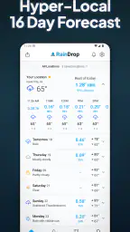 RainDrop: Virtual Rain Gauge screenshot