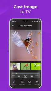 Remote Control for RokuTV screenshot