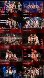 Ring of Honor screenshot