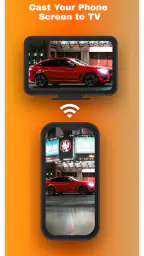 Screen Mirroring & TV Remote screenshot
