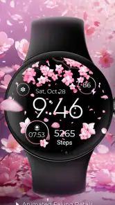 Seasonal Watch - Animated screenshot