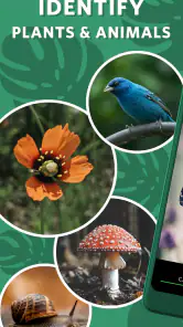 Seek by iNaturalist screenshot