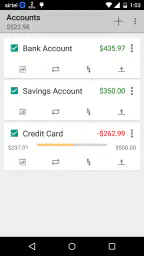 Simple Checkbook Ledger screenshot