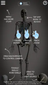 Skelly: Poseable Anatomy Model screenshot