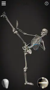 Skelly: Poseable Anatomy Model screenshot