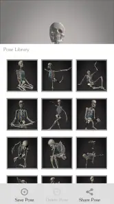 Skelly: Poseable Anatomy Model screenshot