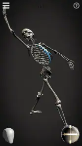 Skelly: Poseable Anatomy Model screenshot
