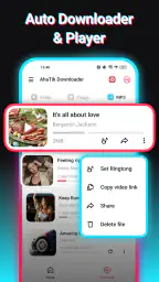 SnapTik - TT Video Downloader screenshot