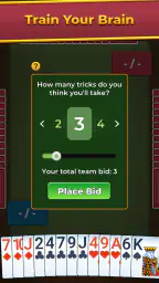 Spades For Seniors: Card Game screenshot