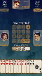 Spades Pro screenshot