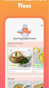 Start Solids & Baby Recipes screenshot
