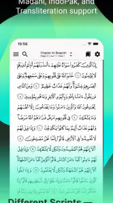 Tarteel: AI Quran Memorization screenshot