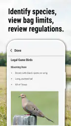 Texas Outdoor Annual screenshot
