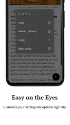 The Virginian-Pilot screenshot