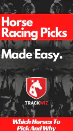 TrackWiz : Horse Racing Picks screenshot