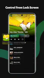 TuneCarry: Offline Music screenshot