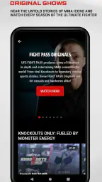 UFC screenshot