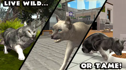 Ultimate Cat Simulator screenshot