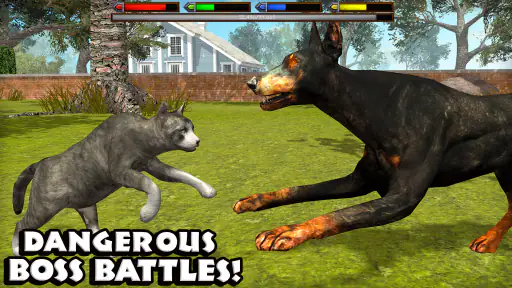 Ultimate Cat Simulator screenshot