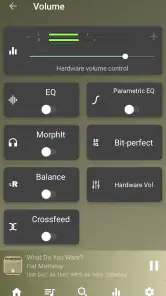 USB Audio Player PRO screenshot